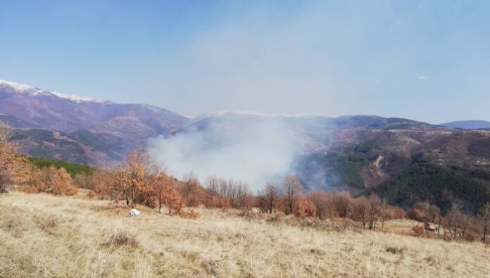 50 служители на ЮЗДП и пожарникари гасят огромен пожар между Дъбрава и Бистрица