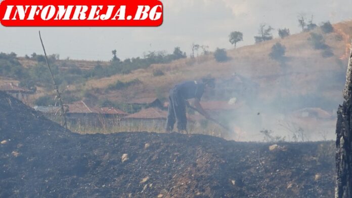 500 дка лозе едва не изгоряха край Дулово