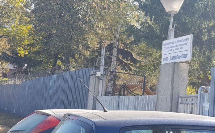 53-годишен затворник избяга от общежитието в Самораново