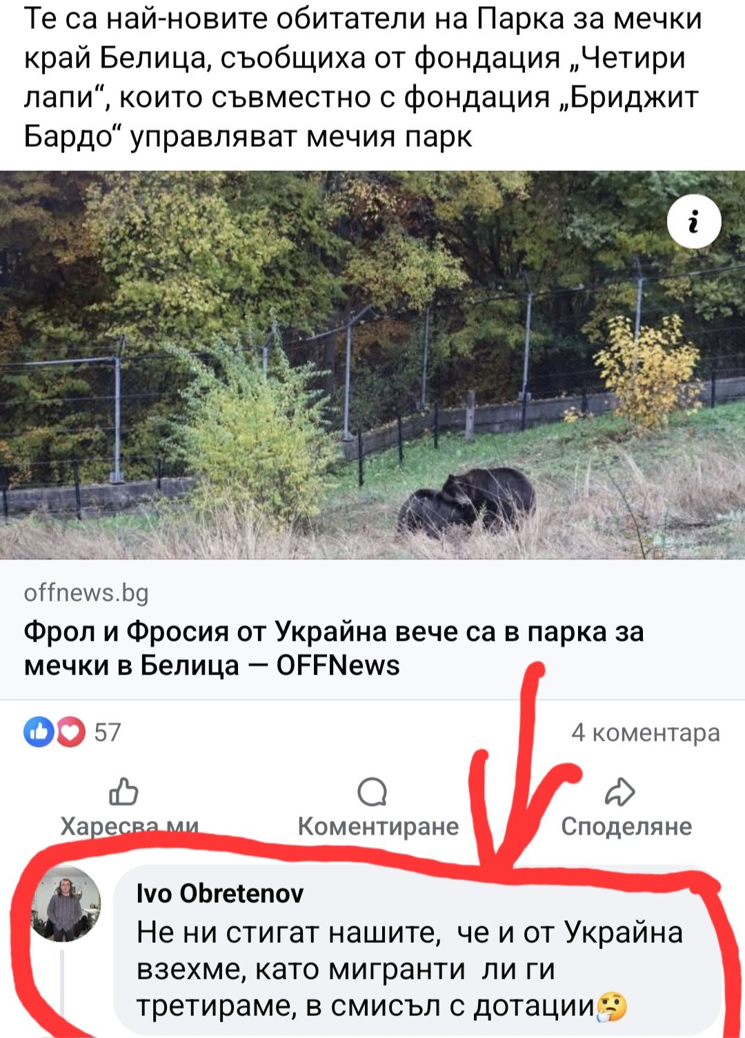 Украински мечки са новите обитатели на парка в Белица, проруски профили питат защо Украински мечки са новите обитатели на парка в Белица, проруски профили питат защо - Инфомрежа