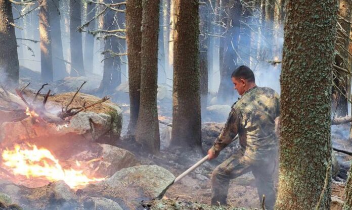 6-и ден на пожара в Рила: Засегнати са 60 дка иглолистна гора