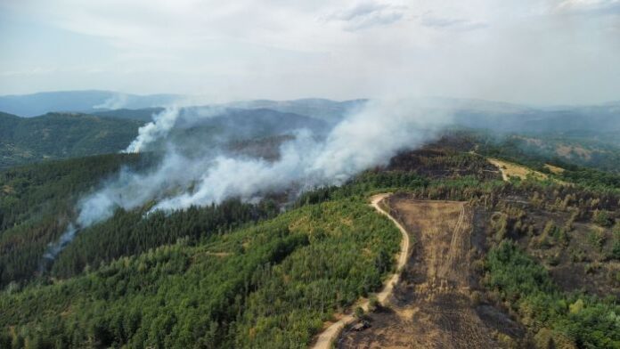 6 пожара бушуват в Гърция