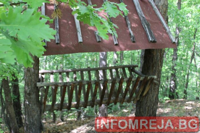 9 овце са откраднати от овчарник край Годлево