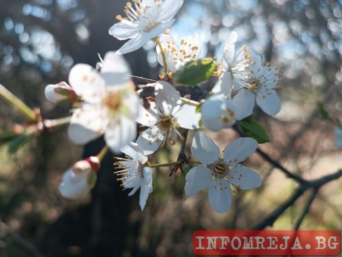 Април започва с много слънце