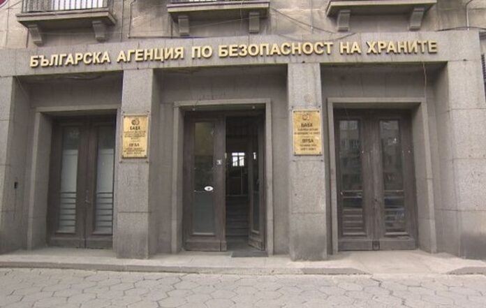 БАБХ предлага местните власти да прибират безстопанствените животни по пътищата