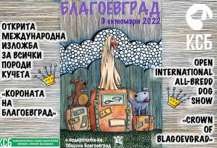 Благоевград е домакин на Международна киноложка изложба