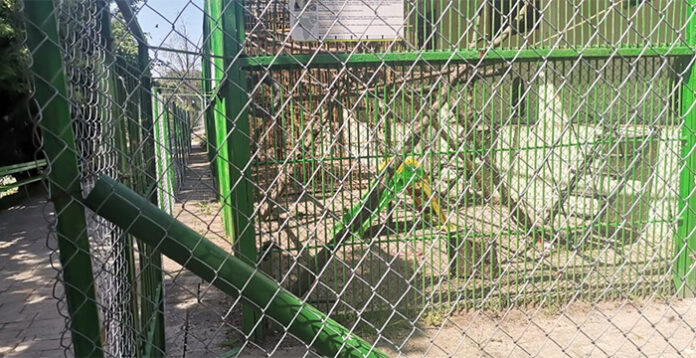 Благоевградският зоопарк с нов облик