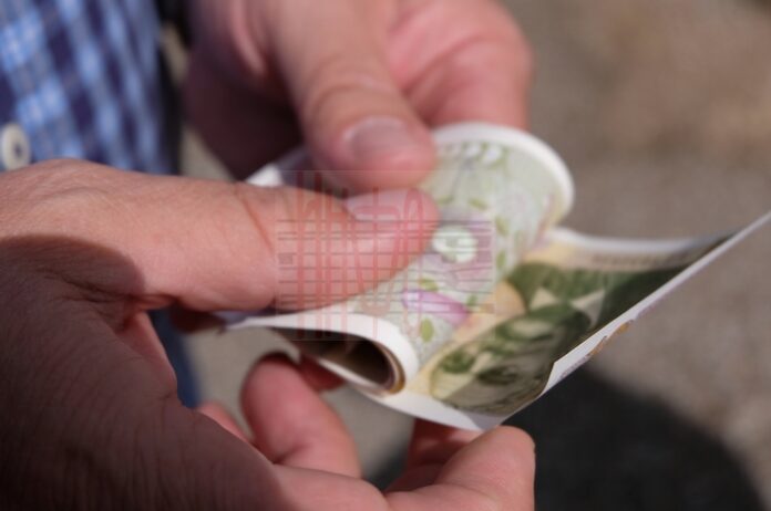 Близо 11 000 безработни намериха препитание