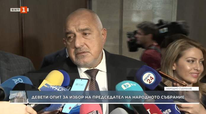 Борисов: ГЕРБ отново ще подкрепи Наталия Киселова