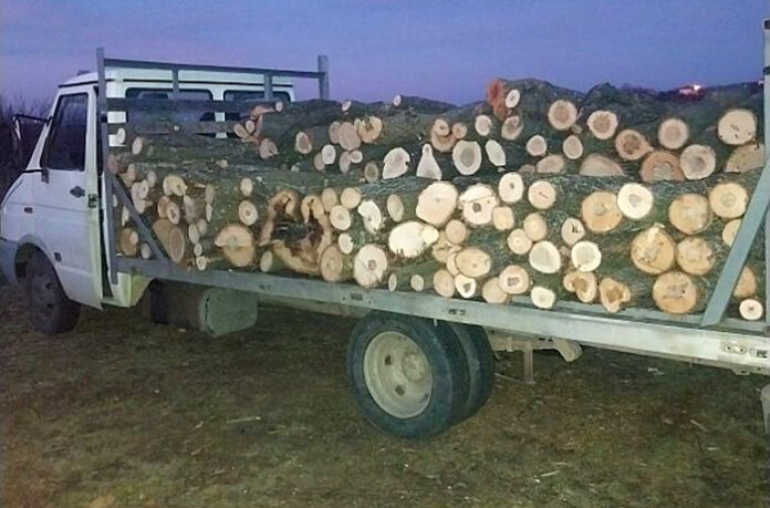 Бракониери замеряха с камъни горски служители във Видинско