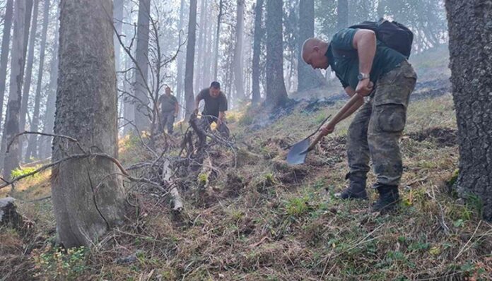 България е първенец по пожари в ЕС