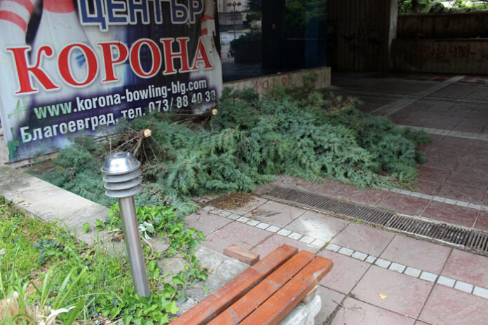 Бърза реакция: Отстраниха паднали дървета и клони след бурята в Благоевград