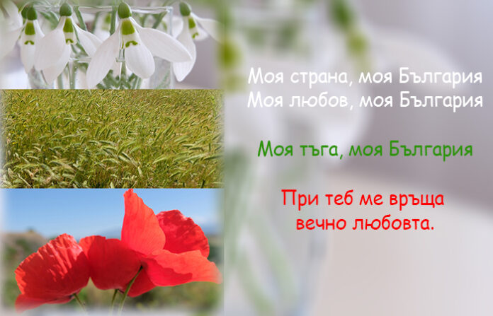 ЧЕСТИТ 3 МАРТ
