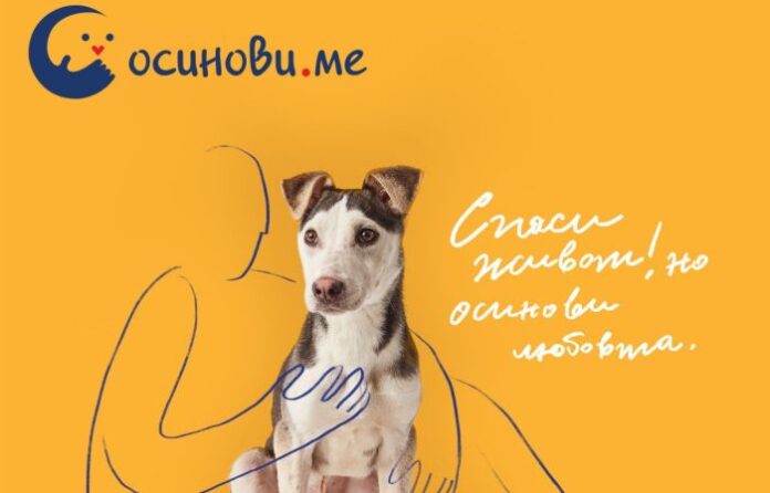 “Четири лапи“ стартира мащабна кампания за осиновяване на бездомни животни