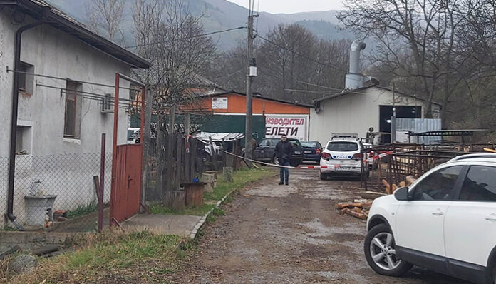 Четирима задържани след акция в Полена и Разлог за незаконна дървесина