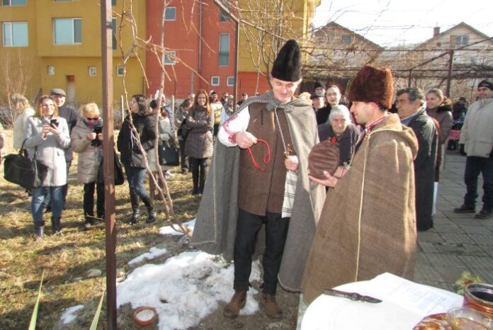 Читалището в Николичевци и Георги Конярски спечелиха конкурса за най-добро домашно вино на Читалище „Пробуда“