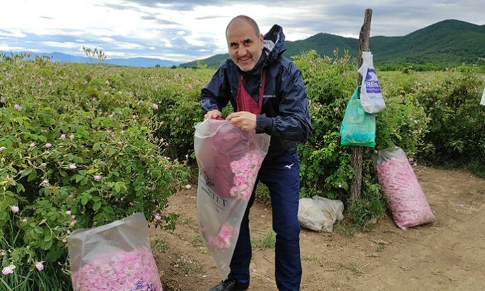 Цветанов бра рози в 5 сутринта