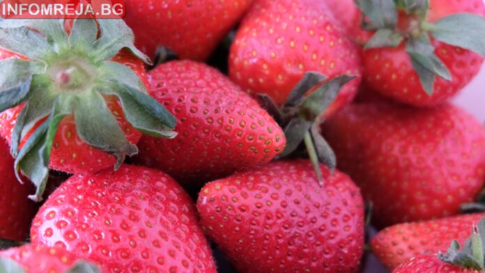 Децата ще консумират повече български и биологично произведени продукти
