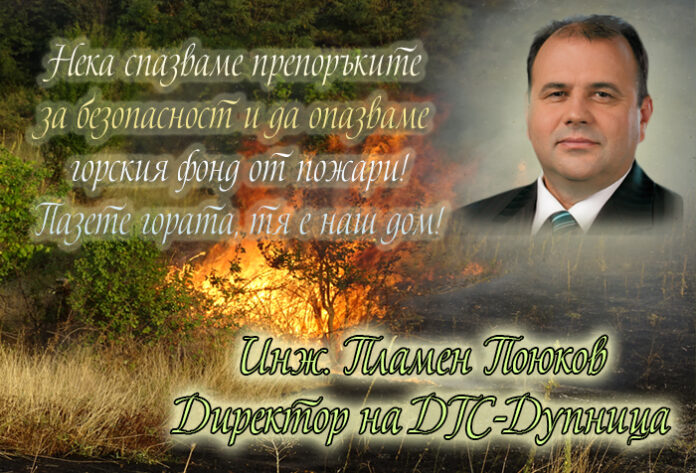 ДГС-Дупница