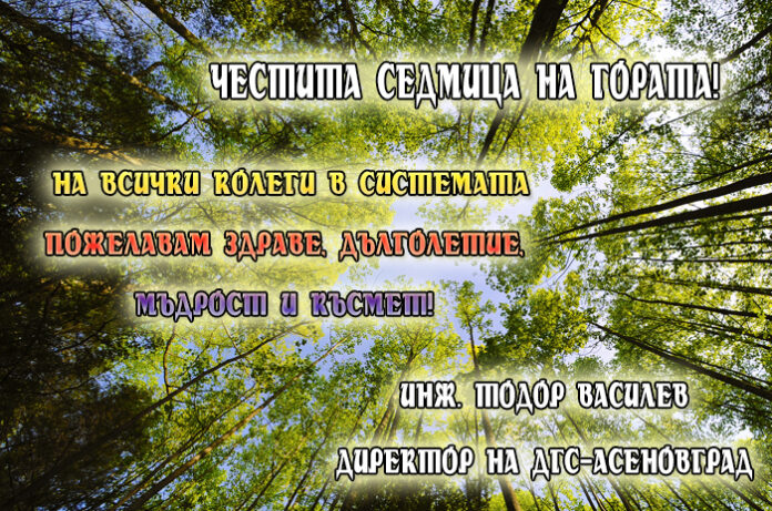 Директорът на ДГС-Асеновград