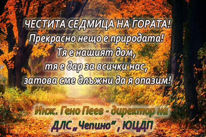 Директорът на ДГС 