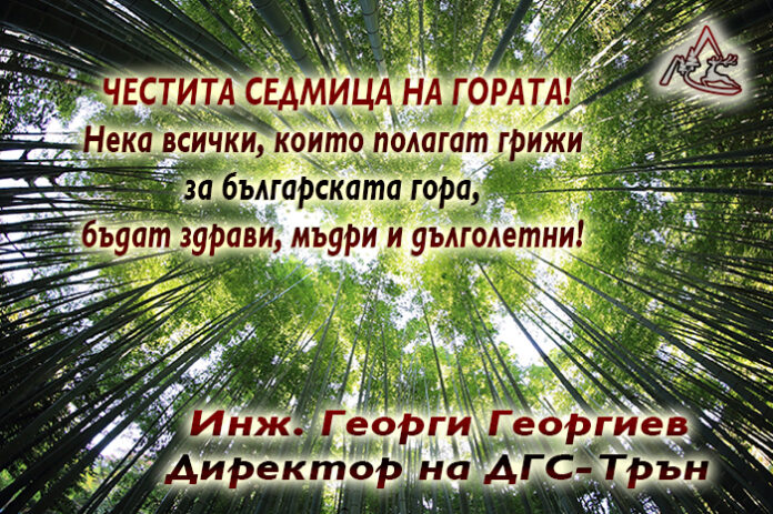 Директорът на ДГС-Трън