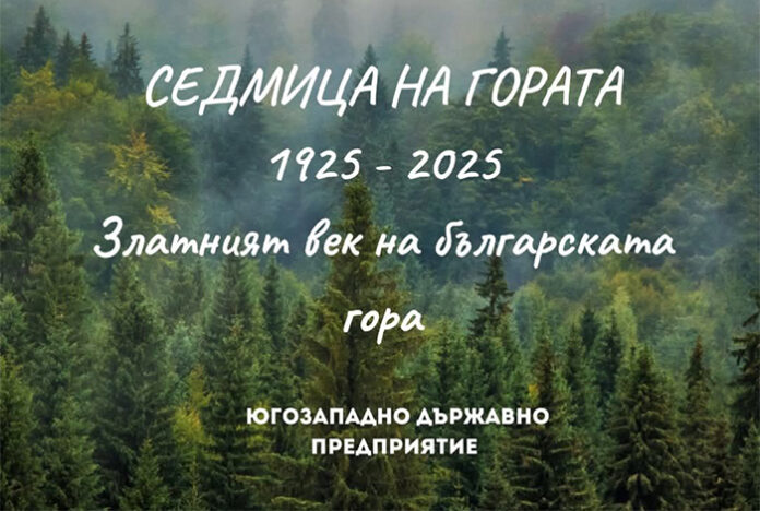 Директорът на ЮЗДП