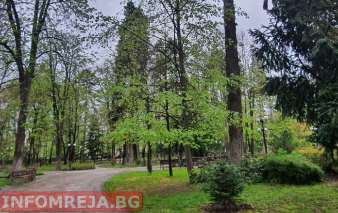 Днес до обяд времето ще е слънчево