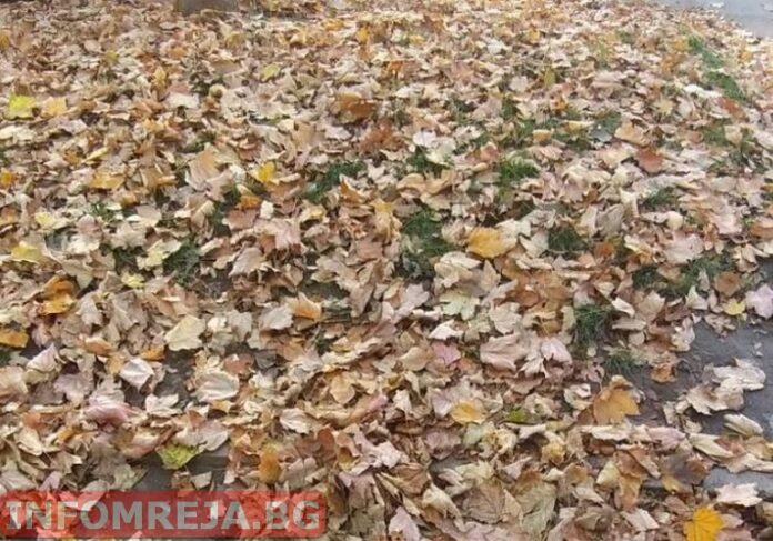 Днес на изток ще е слънчево