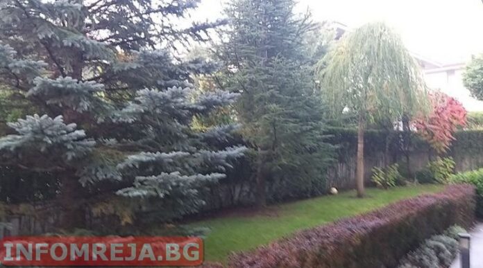 Днес на изток ще е слънчево