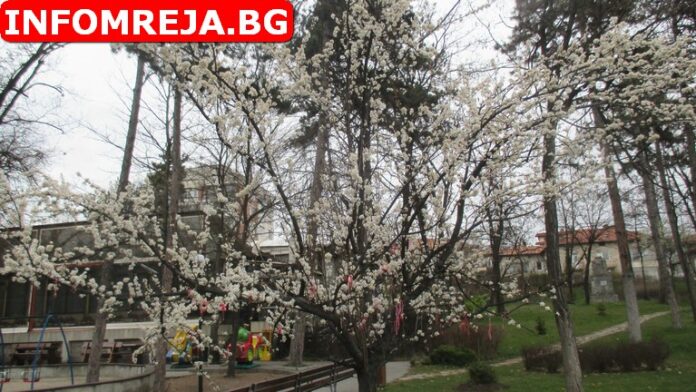 Днес над по-голямата част от страната облачността ще е значителна