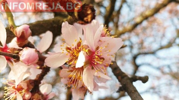 Днес над Западна и Централна България ще е слънчево