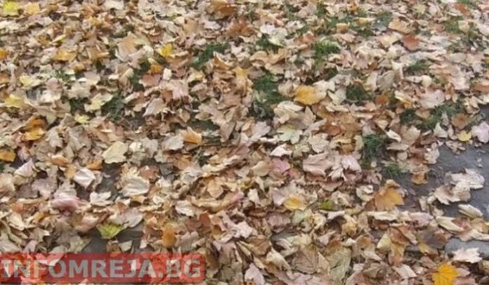 Днес преди обяд ще е слънчево