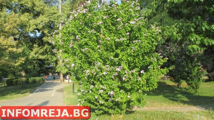 Днес ще преобладава слънчево време