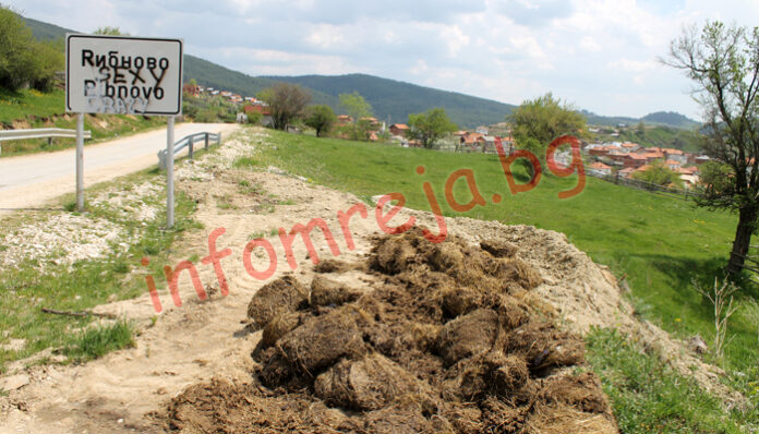 До дни разкриват бандата крадци