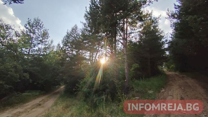 До обяд слънчево