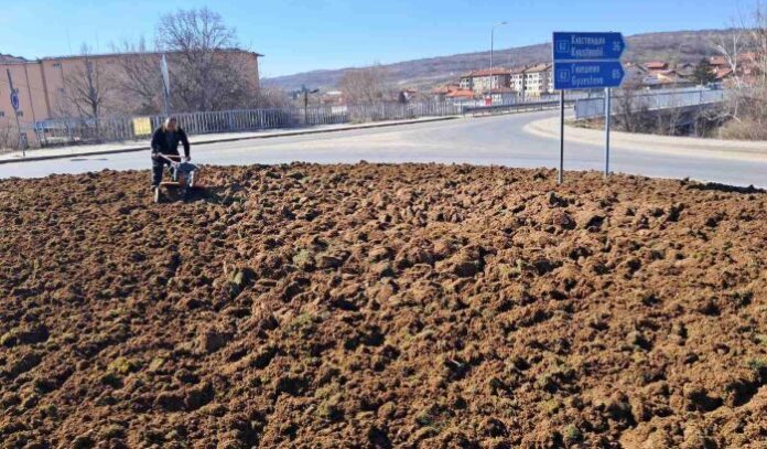 Дупница засиява в нова пролетна премяна