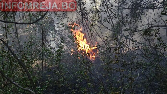 Два пожара бушуваха в Кюстендил и Гърмен