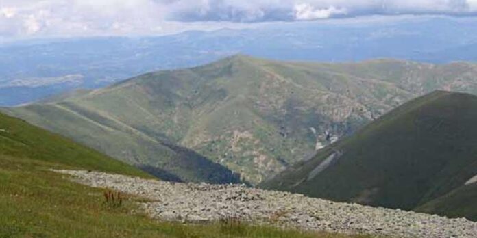 Двама берачи на хвойна се изгубиха в Осоговската планина