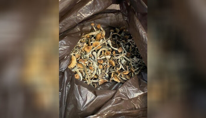 Двама са задържани при спецакция на СДВР срещу наркоразпространението