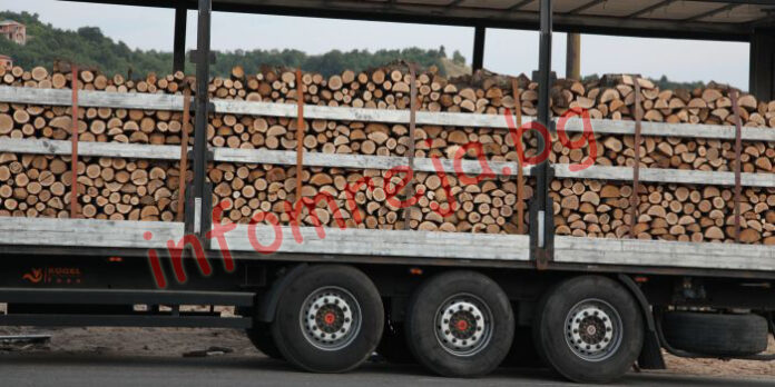 Дървосекачи мерят сили на състезание в Разлог