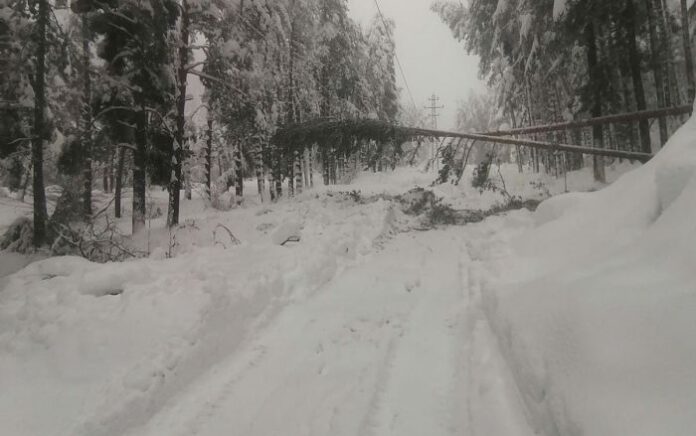 ЕРМ Запад поетапно възстановява захранването