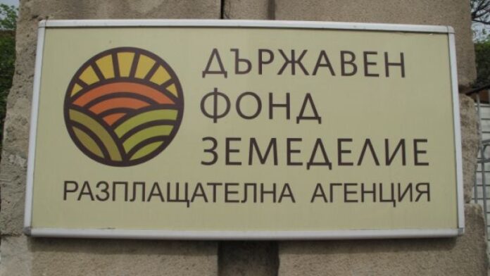 Евдокия Кръстева е новият зам.-изпълнителен директор на ДФЗ