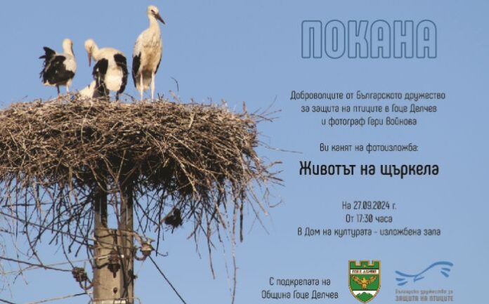 Фотоизложба 