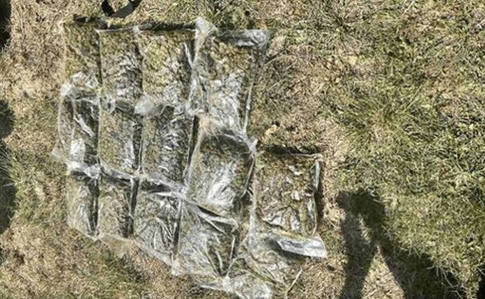 ГДБОП иззе 20 кг канабис и над 40 растения след опит за сделка на бензиностанция
