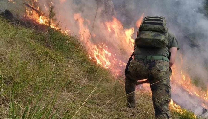 Георги Динев за гръцкия пожар: Прогнозата е да вали през нощта!