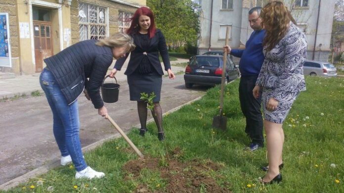 ГЕРБ - Бобов дол с акция по залесяване в града и по малките населени места
