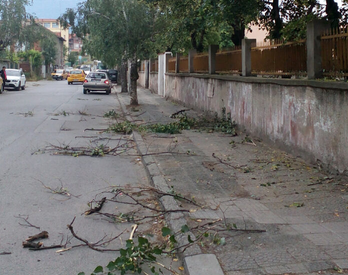 Глобиха 12 роми за бране на липа в Дупница