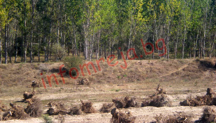 Гоцеделчевски регион пред екокатастрофа