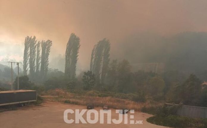 Голям горски пожар бушува в Крива паланка: Кметът на Кюстендил помага на място